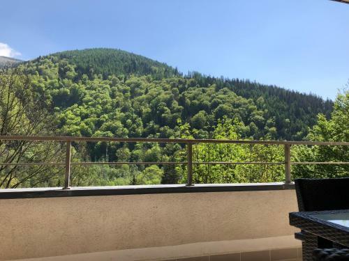 Sinaia Apartament