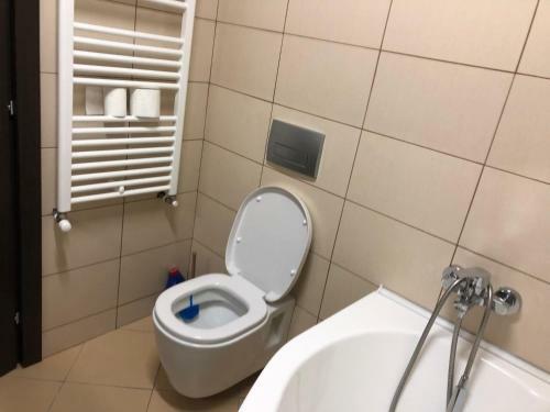 Sinaia Apartament