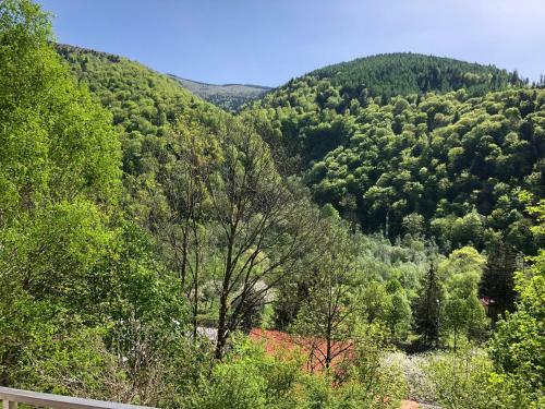 Sinaia Apartament