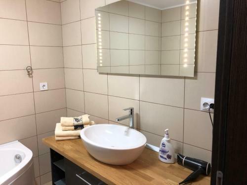 Sinaia Apartament