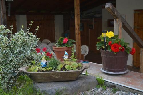 Hostal Pensiunea Morariu