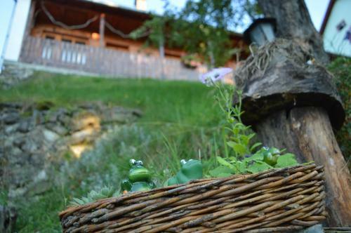 Hostal Pensiunea Morariu