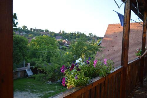 Hostal Pensiunea Morariu