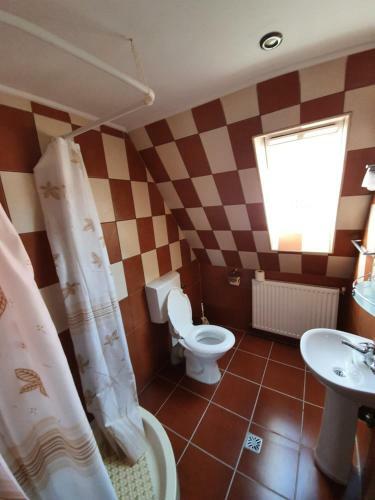 Hostal Cabana Brandusa