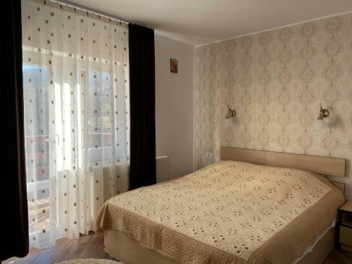 Hostal Pensiunea Casa Alexandra