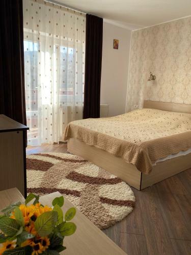 Hostal Pensiunea Casa Alexandra
