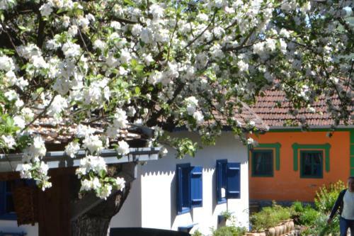 Etno Park Terzica Avlija Apartments