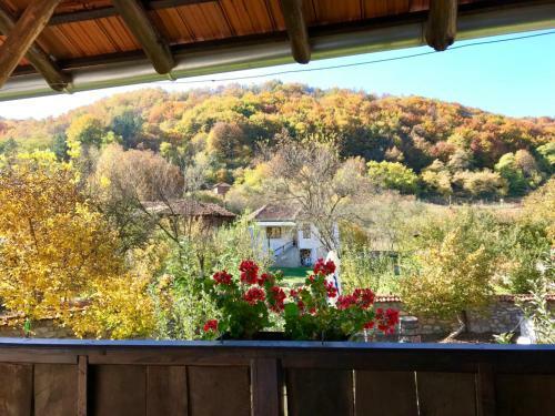Agroturismo Konak Tosa