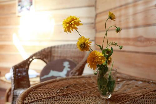 Sibiria Hotel Ethnomir