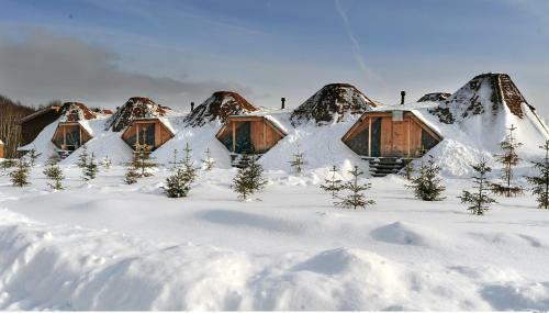 Sibiria Hotel Ethnomir