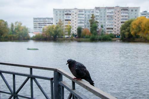 Apartment Near Aquapark