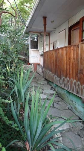 Hotel Orchidea Guest House