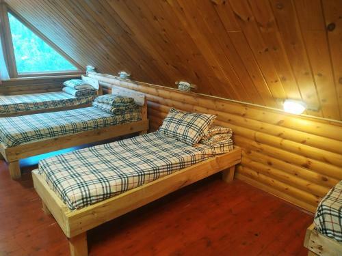 Belka Hostel