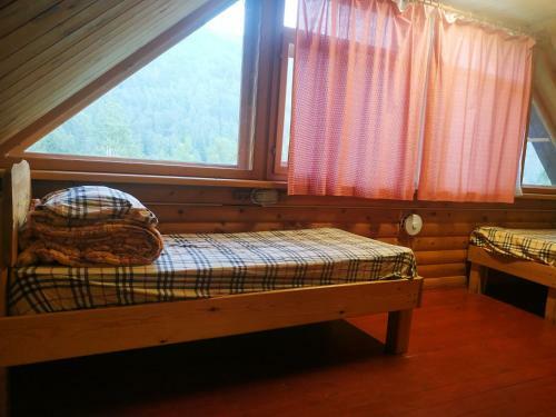 Belka Hostel