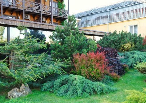 Hotel Spa-club Diodon