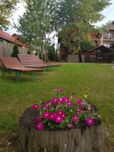 Hostal Guest House Vlad