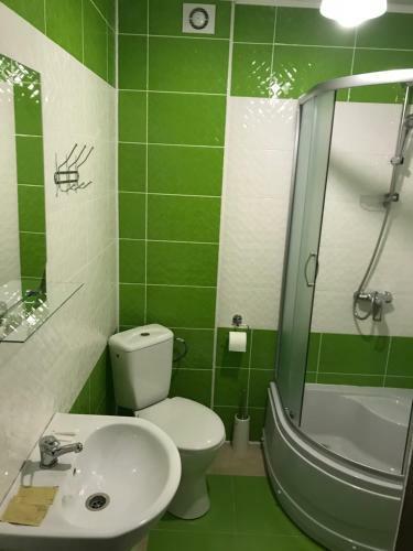 Hotel Mizhgirya