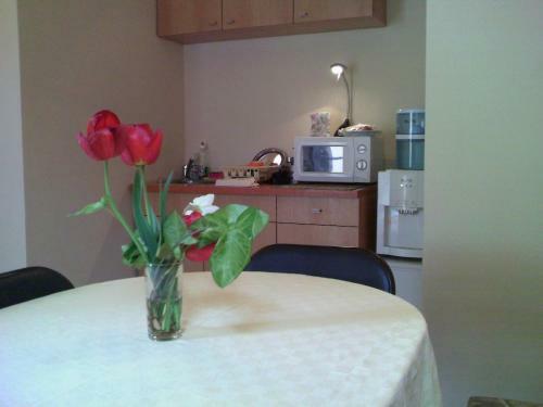 Hostal Avel Guest House