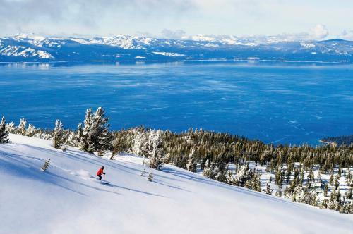 Gondola Vista 15