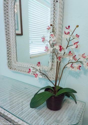 3 Bedroom - Dolphin House Split Floor Plan Pets Waterfront District