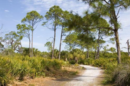 2 Bedroom - Harbor Mist Pets Yard Marina District