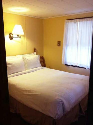 Hotel Phoenicia Lodge
