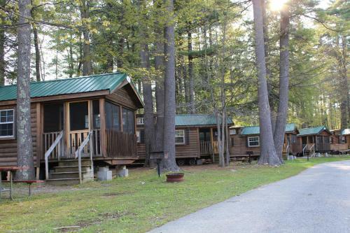 Alpine Lake Lakefront Cabin 8