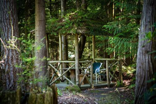 Tall Chief Camping Resort Yurt 6