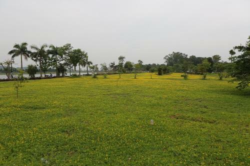 Hotel Paradise Dai Lai Resort