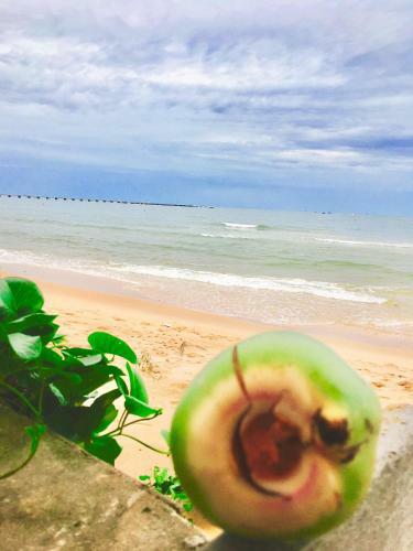 Larina Beach House