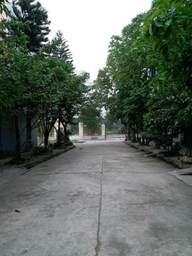Thanh Nam Homestay