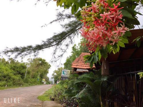 Bed & Breakfast Gecko Guest House