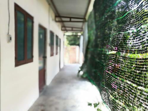 Posada Bien Rung Homestay