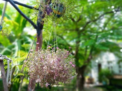 Giao Diem Homestay