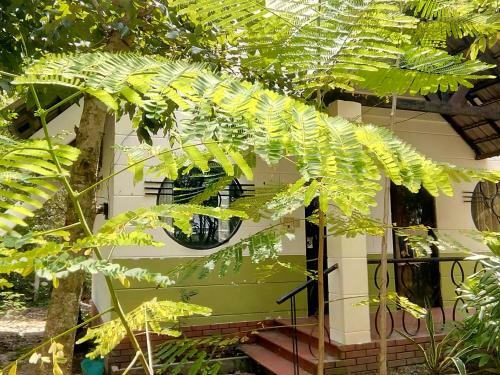 Giao Diem Homestay