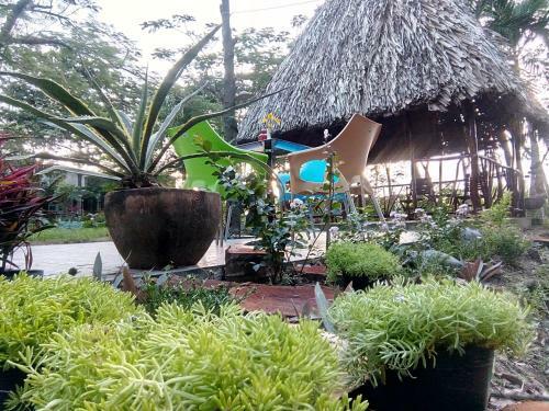 Giao Diem Homestay
