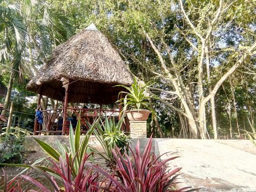 Giao Diem Homestay