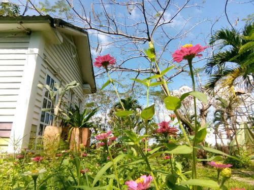 Giao Diem Homestay