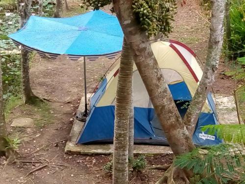 Giao Diem Homestay