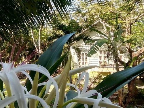 Giao Diem Homestay