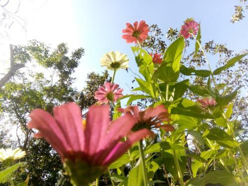 Giao Diem Homestay