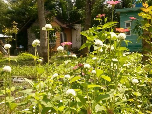 Giao Diem Homestay