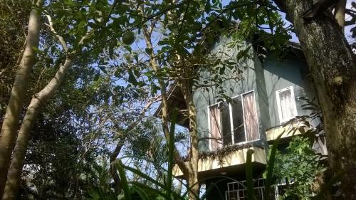 Giao Diem Homestay