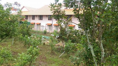 Ut Thuy Homestay