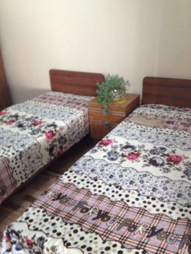 Hostal Uyutnyy Dvorik