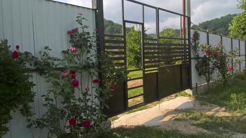 Agroturismo Vineyard Cottage