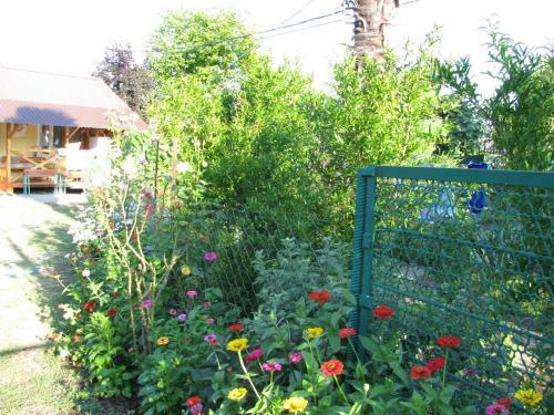 Hostal Guest House On Nazadze 41a