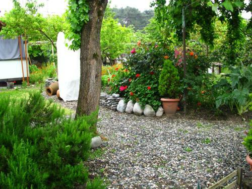 Hostal Guest House On Nazadze 41a
