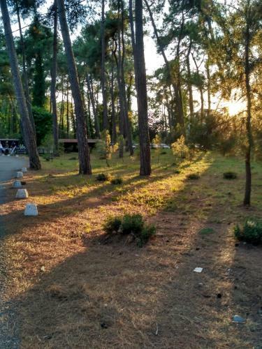 Hostal Guest House On Nazadze 41a