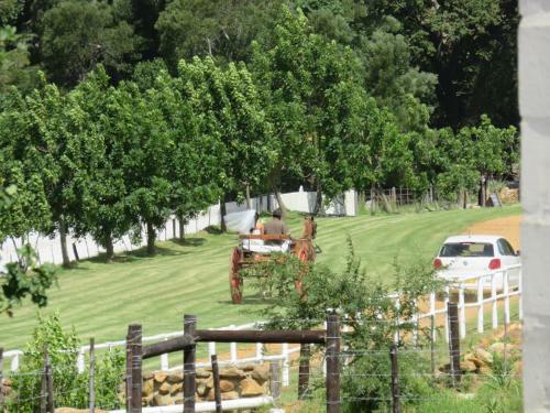 Agroturismo Paardenberg Farm Cottages